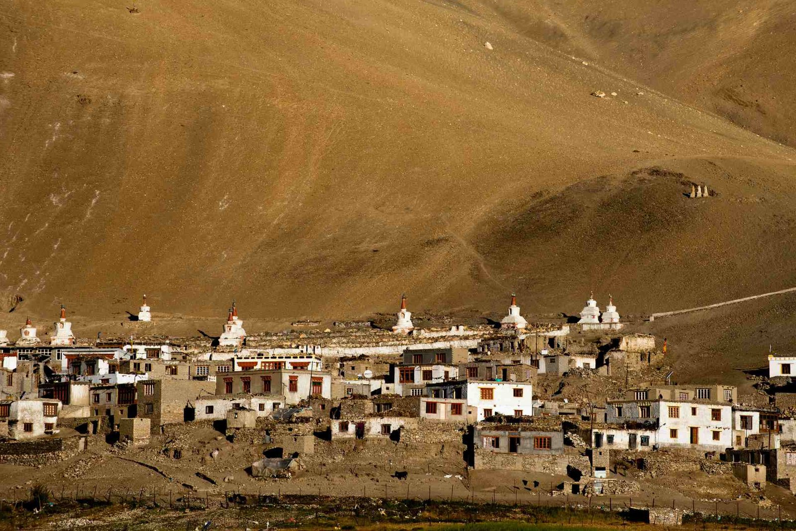 Tibetan Village